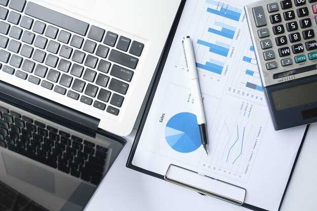 Использование информационных технологий в налоговом аудите